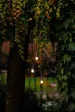 Hanglamp Rodas set 3st.