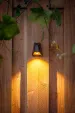 Wandlamp /Spot Tiga DL