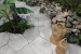GeoArdesia F25 Lazise Alivo 6cm
