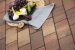 Geoklinker Plus met facet Genua 21x10.5x8cm