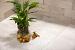 GeoCeramica® Motion Beige 60x120x4cm