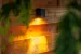 Wandlamp Tiga Wall