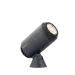 Spot Castor 9