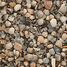 Schelpen 8-16mm 17 ltr 