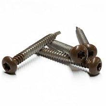 1063912 NTW PRO RVS schroef Ipé a 50 st. incl. bit (ACTIE)