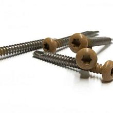 1063915 NTW PRO RVS schroef Red Cedar a 50 st. incl. bit (ACTIE)