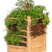 Kruidentoren/moestuin lariks Multi B60xD60xH80cm