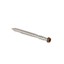 RVS schroef met gekleurde top Antique voor NewTechWood terrasplanken 100st. incl. bit